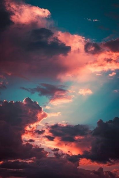 heaven official’s blessing novel pdf